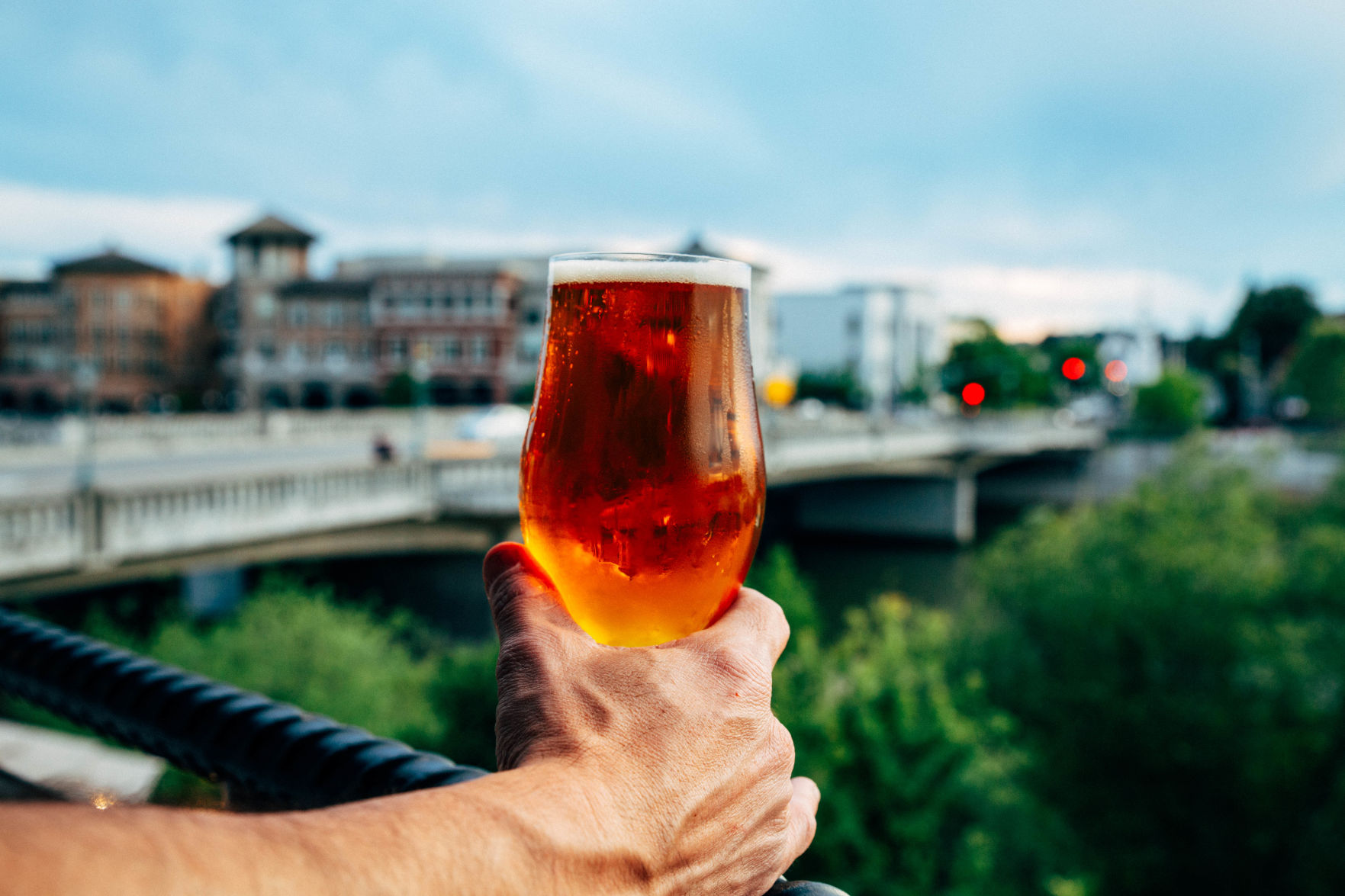 Stone Brewing - Napa Meet & Greet with Co-Founder